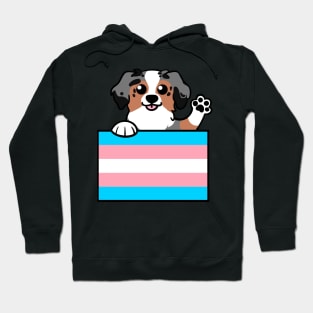 Love is Love Puppy - Blue Merle Trans Pride Flag Hoodie